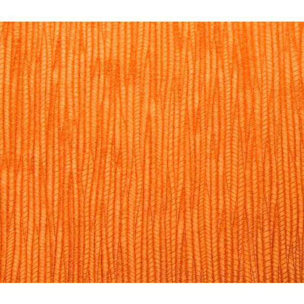 OPGL245 Burnt Orange Palm